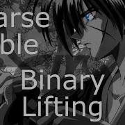 Лекция Sparse Table Binary Lifting бинарный поиск задачи