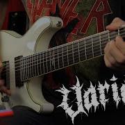 Varials Wound GUITAR COVER