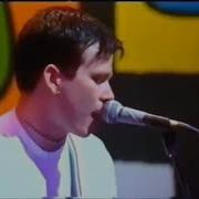 Blink 182 Mutt Live Australia 1998