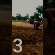 CART WHEEL BACK FLIP TUTORIAL Flipaclip