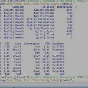 Increment Count By 1 In A Groupby With Pandas