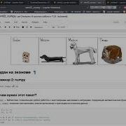 2 Андан Python 2023 Numpy БП