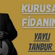 Kurusa Fidanın Yaylı Tanbur Ömer Göktepeliler