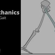 Biomechanics Lecture 11 Gait