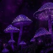 No Ads Mushroom Music Fall Asleep In Under 2 MINUTES Melatonin Release Increase Deep Sleep