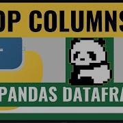 How To Drop Columns In Python Pandas Dataframe