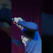 Честный Майами Live