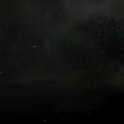 Houdini Dynamic Tree R D