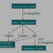 Java Programming Assignment Help Wmv