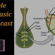 Example Of A Basic Screencast Teaching Video