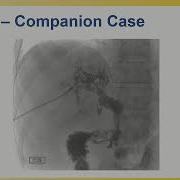 2025 Radiology Review Sample