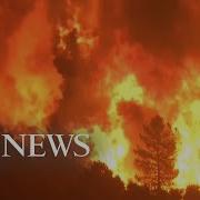 Forest Fires Reach Record Levels Across Globe L ABC News