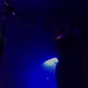 Austra Forgive Me Live Austin TX At Mohawk 9 13 2013
