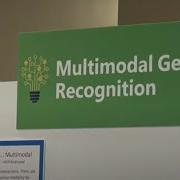 Multimodal Gesture Recognition