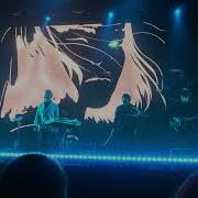 Дельфин Моя 07 03 2025 1930 Moscow