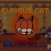 Curious Cat Remix FNF Vs Gorefield