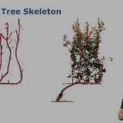Elias Marks Tree Skeletonization From 3D Point Clouds By Denoising Diffusion