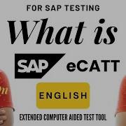 What Is SAP Testing Tool SAP ECATT End To End Guide Sap Tetsing Sapecatt