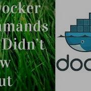 10 Docker Commands EVERY Developer Should Know