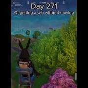 Day 271 Of Getting A Win Without Moving Fortnite Shorts