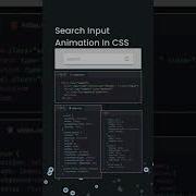 Search Input Animation In CSS HTML CSS