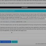 Buffer Overflow Shellcode Exploit In Action Reverse Engineering Bin Sh Shellcode