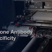 Histone Antibody Specificity Analysis With Peptide Microarrays Protocol Preview