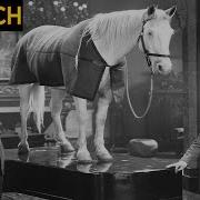 Dick Und Doof Falsch Geraten Wrong Again 1929