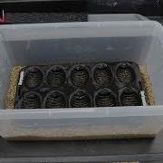 How To Setup A Egg Box