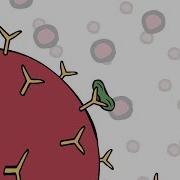 Benefits Of Invitrogen ProcartaPlex Multiplex Immunoassays For The Luminex Platform