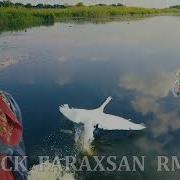 Татьяна Куртукова Ромашка Василёк Nick Faraxsan Remix