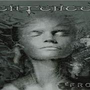 Sentenced Drown Together