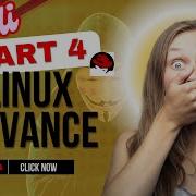 Master The Linux Cut Command With Practical Examples