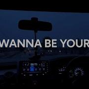 Arctic Monkeys I Wanna Be Yours Lyric Video