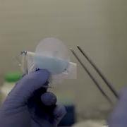 Water Analysis Using The Membrane Filtration Technique