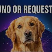 Best API Client For You Bruno VS Requestly 2026