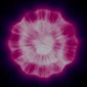 Audio Reaction With Trapcode And After Effects