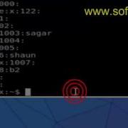 User Group Commands In BASH Shell Terminal
