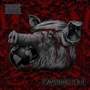 Violent Frustration Split W Cavernicular HQ 2018 Grindcore