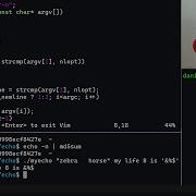 Кодирование Echo на языке C с нуля