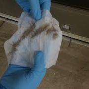 Lead Testing Kit Outside Dust