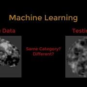 Overview Of MVPA Tutorial