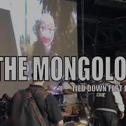 The Mongoloids Live At Tied Down Fest 2025 Set Hardcore Revival In Detroit