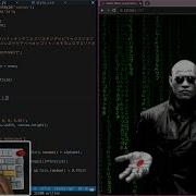 ASMR Programming The Matix Effect No Talking