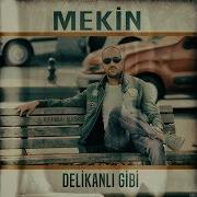 MEKİN DELİKANLI GİBİ