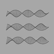 Double Helix Draw By OpenFrameworks