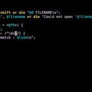 Beginner Perl Maven Tutorial 9 7 Solution Match Number With Regex