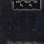 Tool Disposition Reflection Triad Live