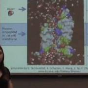Molecules In Motion Using Simulation To Understand Reality