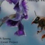 Teenage Victory Song Standard Version The Weezer Cover Project